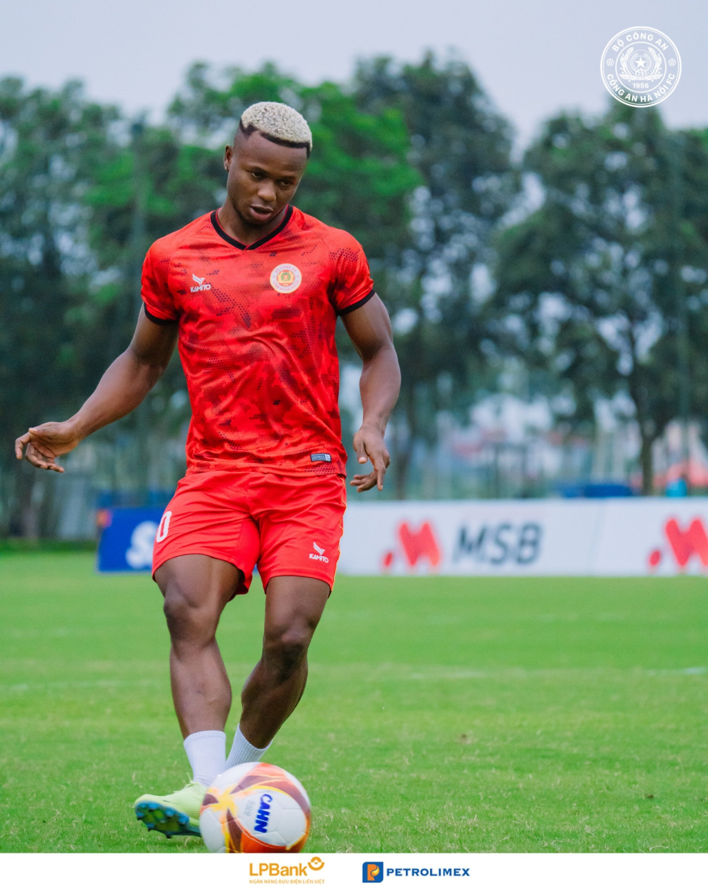 378312907 282168364763878 8689229233978300380 n